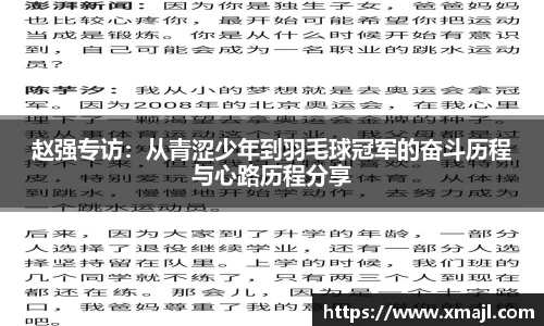 快盈VIII