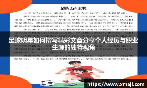 快盈VIII