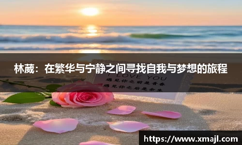 快盈VIII平台